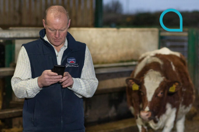 Farmer searching on phone