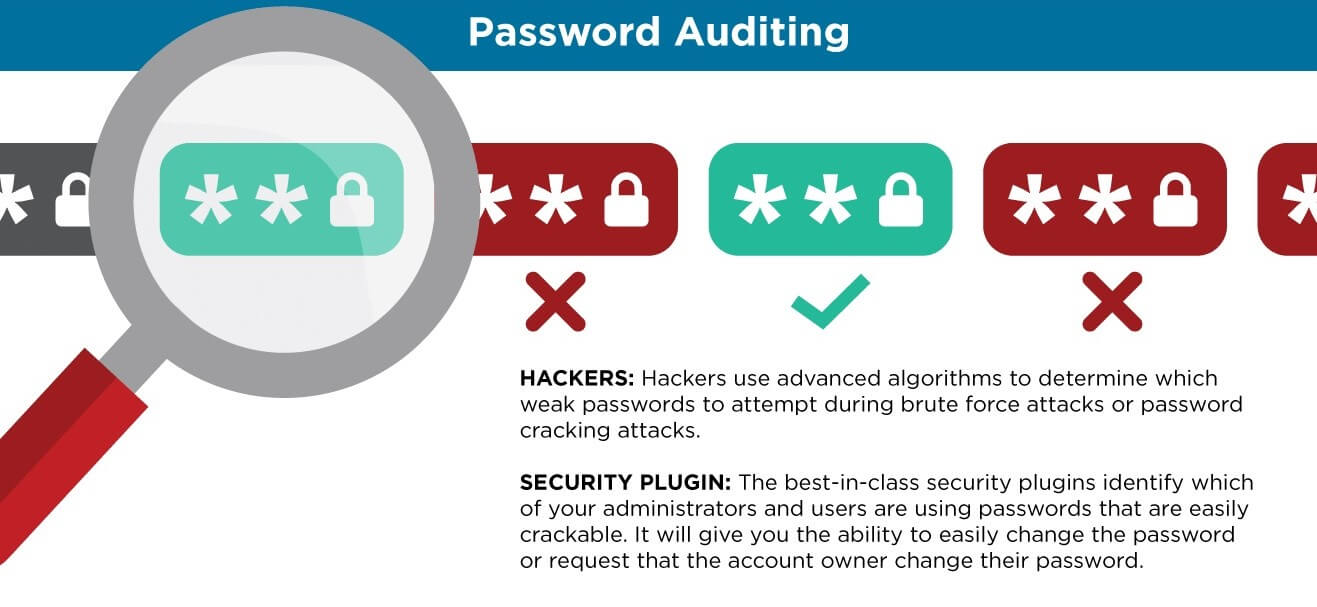 Password Auditing