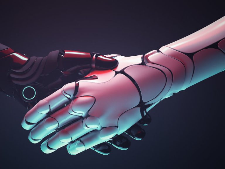 Robot handshake meta tag